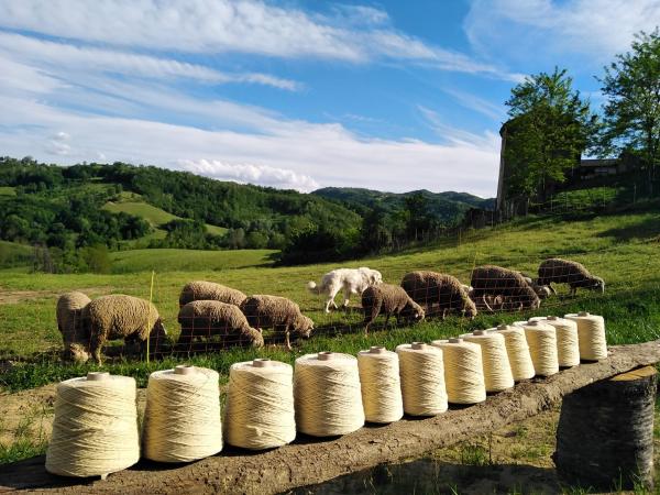 Wool production from a short supply chain