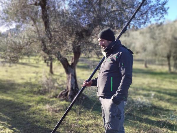 Mini olive tree pruning course