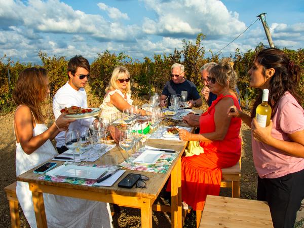 Degustaciones entre viñedos