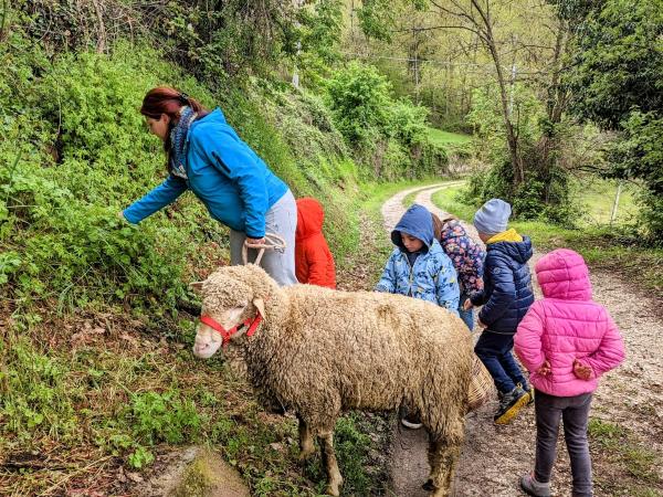 Educational farm