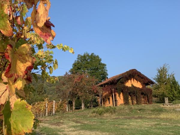 Il Ciabutin, romantico cottage nel vigneto