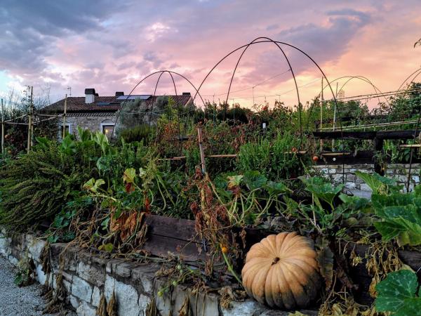 Fattoria Sociale Il Giardino dei Ciliegi