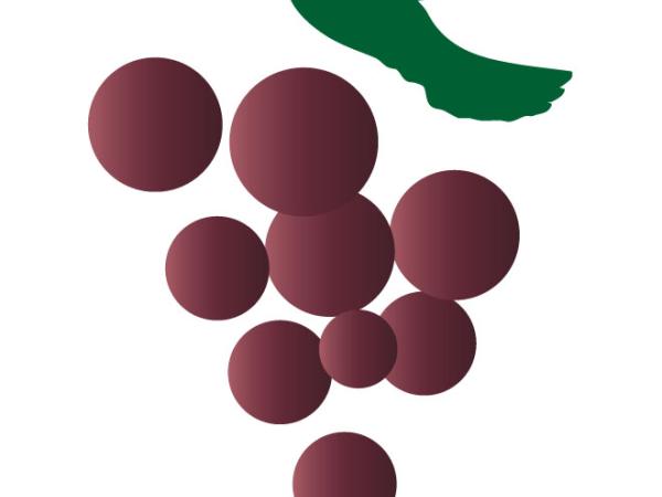 Ruta del Vino Cántico