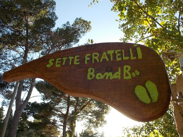 Bed & Breakfast Sette Fratelli IUN 4439