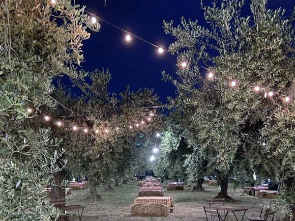 PICNIC AL CHIAR DI LUNA