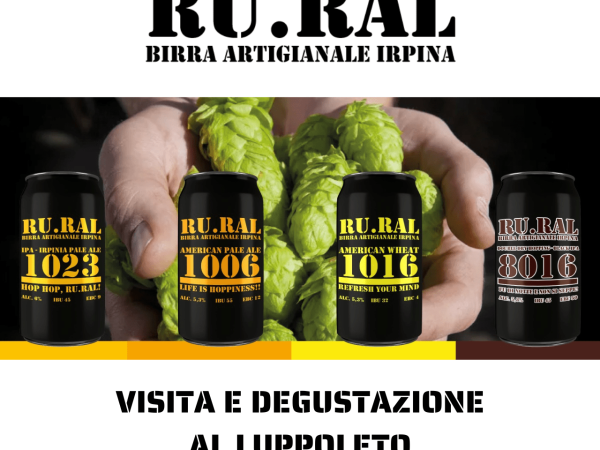 Visit and tasting at the RU.RAL hop grove 