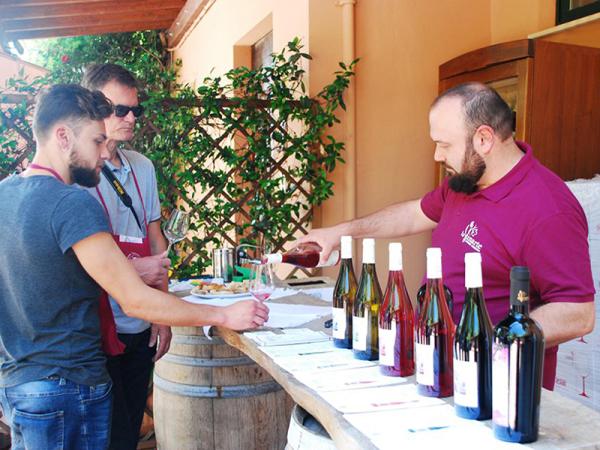 DEGUSTAZIONE TRA LE VIGNE SULLA COSTA DEI TRABOCCHI