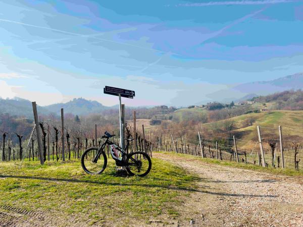 E-Bike Tours, escursioni, noleggio biciclette ed e-bikes