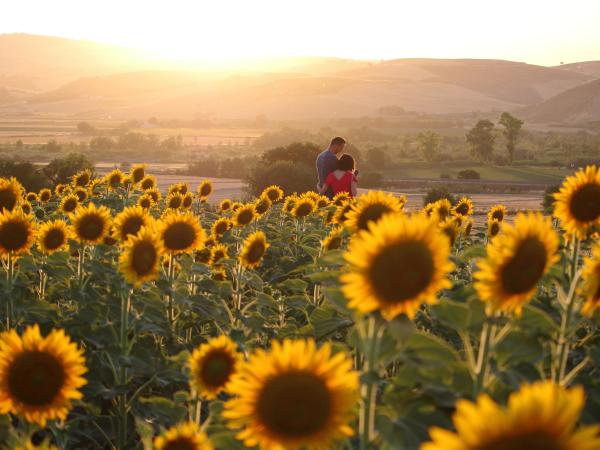 Agriturismo ESSENTIA dimora rurale