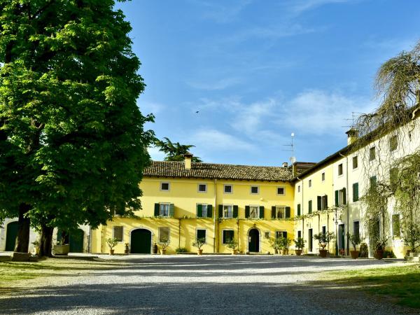 Sale of wine. Own production