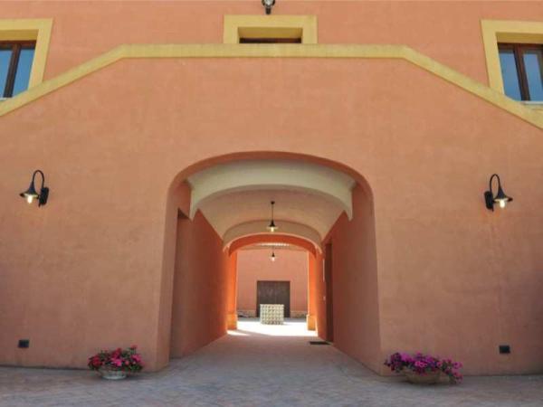 Full tasting and tour of the cellar with visit to the peasant museum, museum with period furniture and garden.