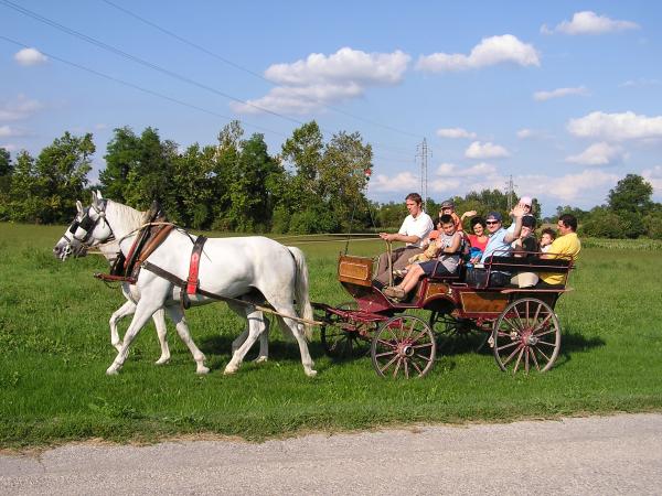 Gita in Carrozza nei Magredi