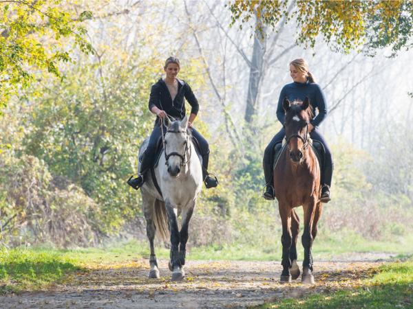 Passeggiata a Cavallo