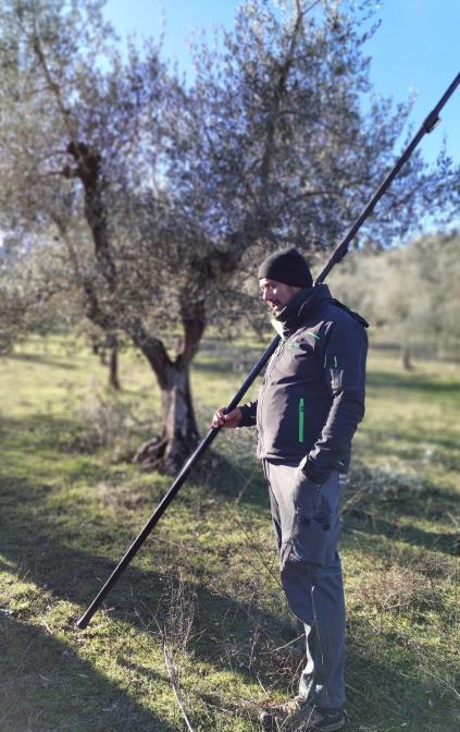 Mini curso de poda de olivo