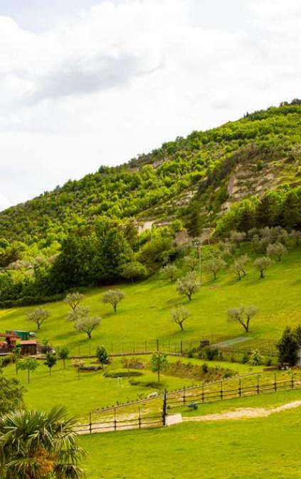 il nostro giardino