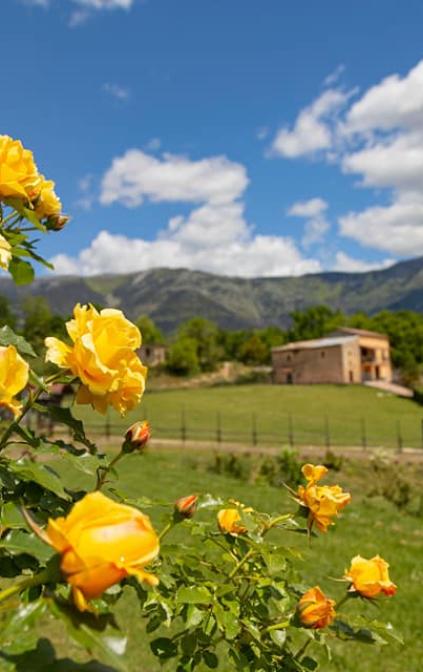 il nostro giardino