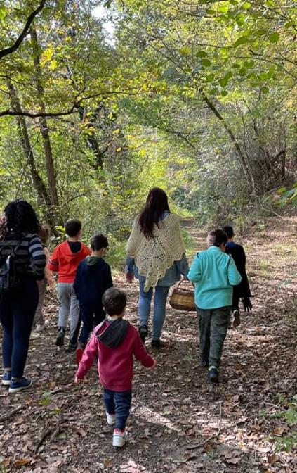 Passeggiata nel bosco alla ricerca delle piante tintorie