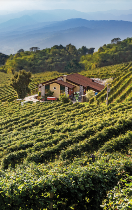 La Cantina Drusian, a Bigolino di Valdobbiadene (TV).