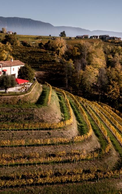 ALTHEA AGRITURISMO