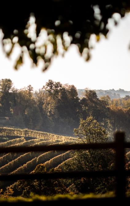 Il suggestivo panorama di cui si può godere dall'Agriturismo Althea.