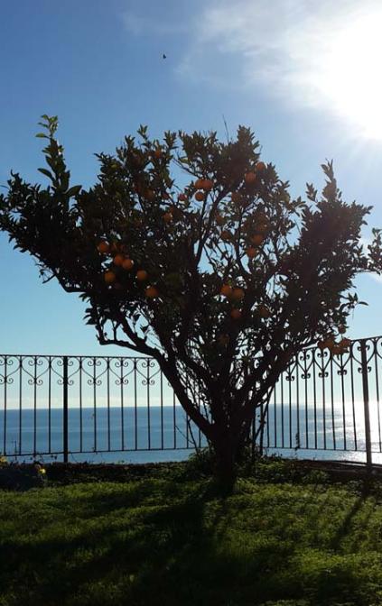 Grande Giardino Privato Vista Mare