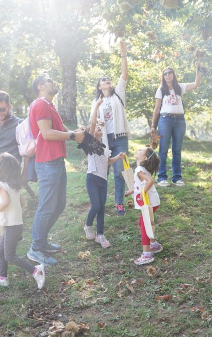 Famiglie in visita nei nostri castagneti durante il periodo della raccolta delle castagne