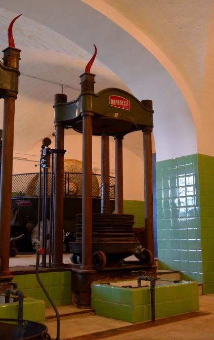 Museo dell'Olio e dell'Olivo Monti Ernici