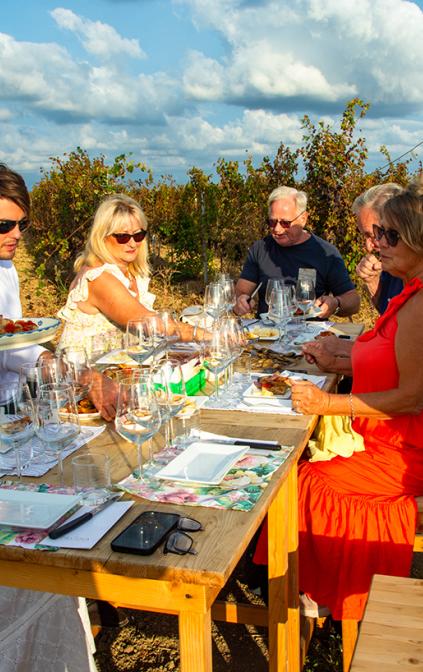 Tastings among the vineyards