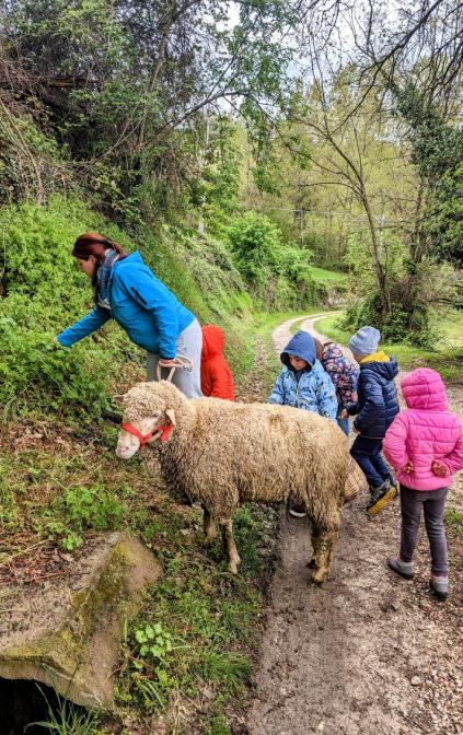 Granja educativa