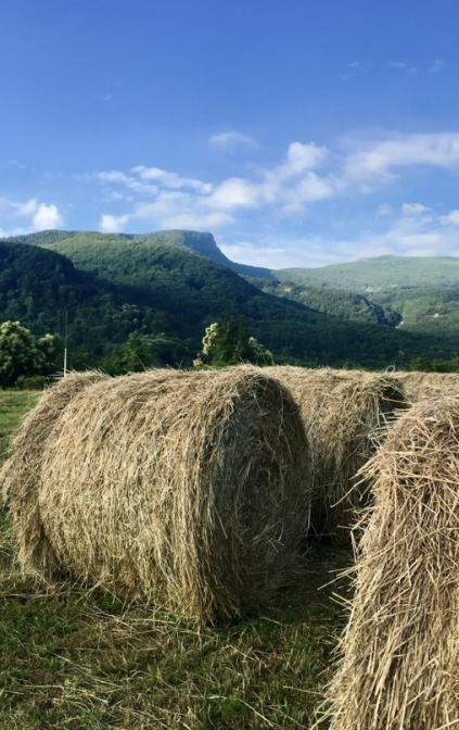 I nostri panorami 