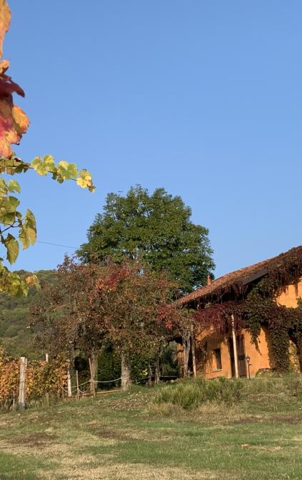 Il Ciabutin, romantic cottage in the vineyard