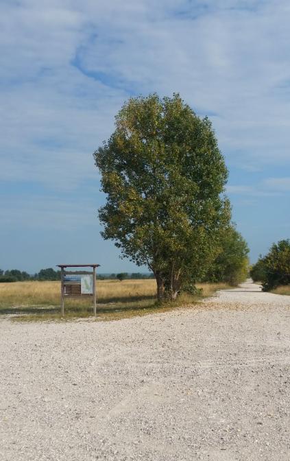 Uno degli ingressi nei magredi del Cellina