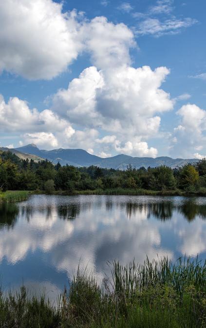 Valle Sturla - Laghetto del Bocco