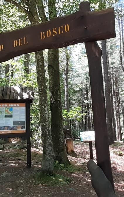 Val d'Aveto - Foresta delle Lame e Museo del Bosco