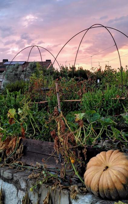 Fattoria Sociale Il Giardino dei Ciliegi