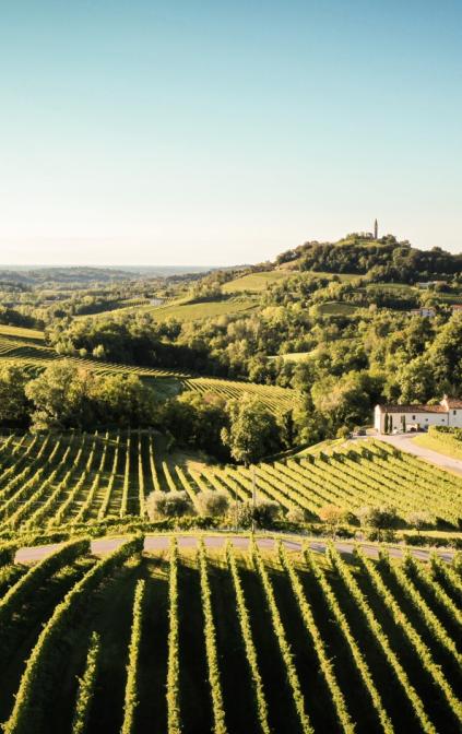 La vista dal Relais Althea sulle Colline del Prosecco di Conegliano e Valdobbiadene. 