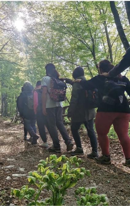 Forest Bathing in the beech forest of Monte Motola