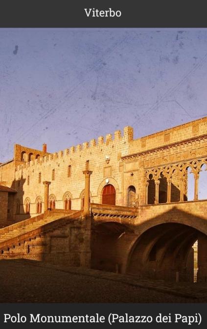 Palazzo dei Papi - accesso con audioguida inclusa