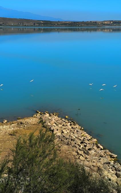 veduta Lago Biviere