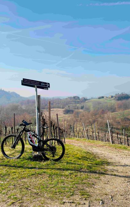 E-Bike Tours, escursioni, noleggio biciclette ed e-bikes