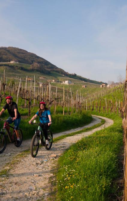 E-Bike Tours, escursioni, noleggio biciclette ed e-bikes