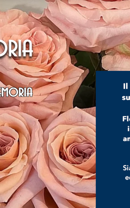 FloreMoria brings the flowers that you choose to the graves of your ancestors in all the cemeteries of Italy. Go to www.floremoria.com