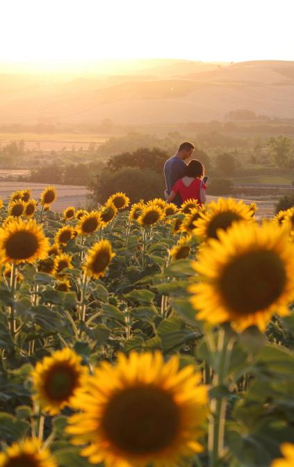 Agriturismo ESSENTIA dimora rurale