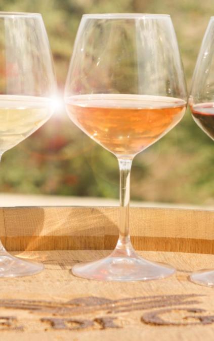 Visita e degustazione vini a Terre di Gratia