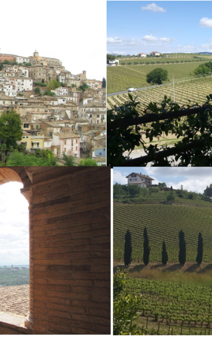 Loreto Aprutino: la via delle vigne ed il giardino dei Ligustri