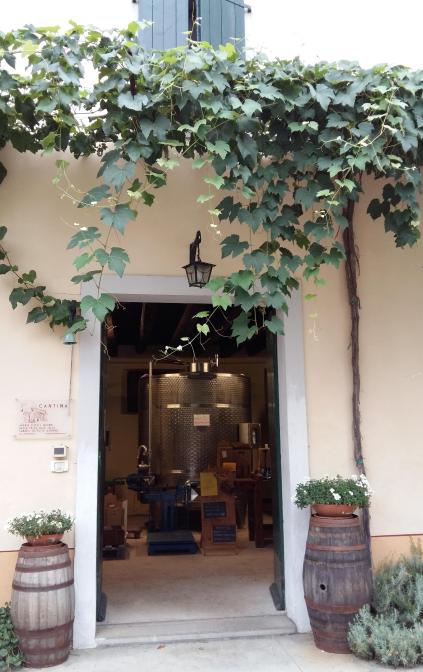 La cantina si trova nel cortile dell'azienda, all'ombra di sei ippocastani centenari.