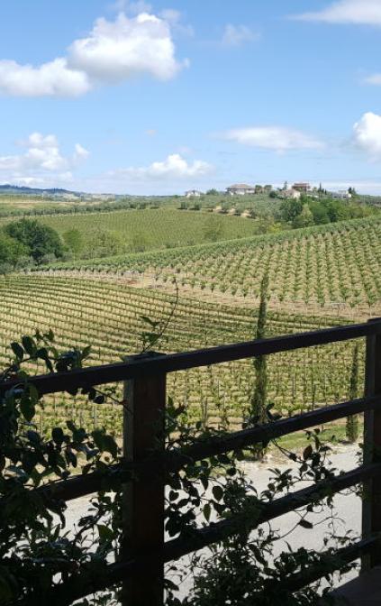 Terrazza dell'azienda vinicultrice