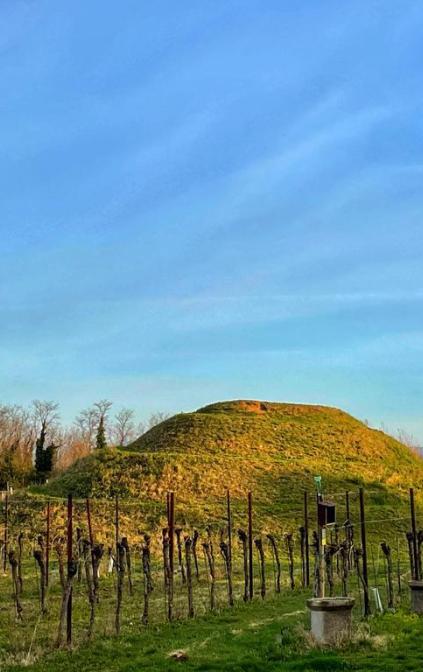 Vigneto Roselli della Rovere e Tumbàre o Mutàre, tomba a tumulo preistorica. 