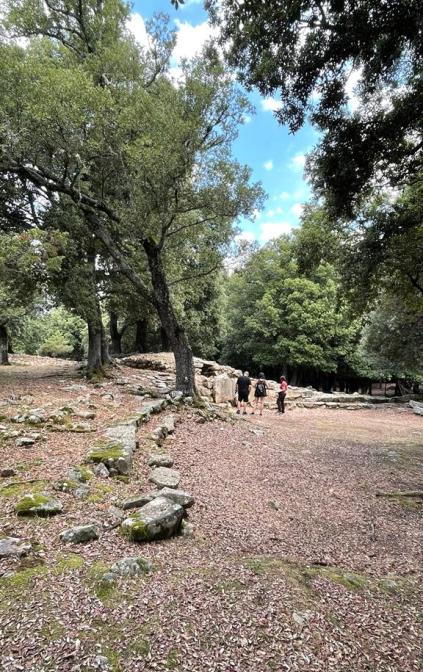 Santuario Nuragico di S'Arcu 'e is Forros