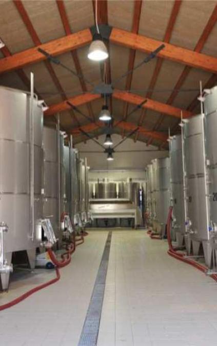 Cantina Rampingallo produzione vino